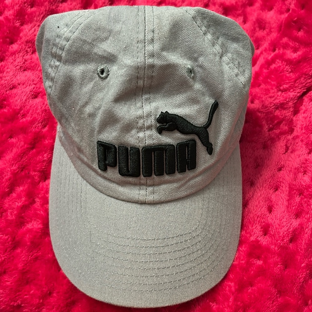 Puma grey Hat